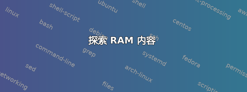 探索 RAM 内容