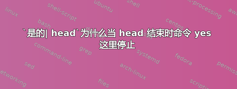 `是的| head`为什么当 head 结束时命令 yes 这里停止