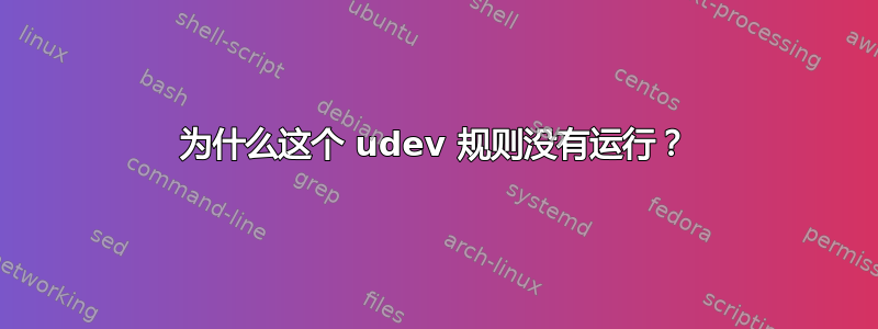 为什么这个 udev 规则没有运行？