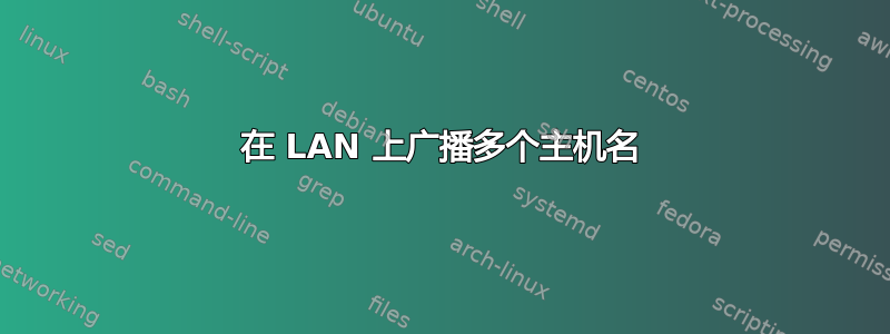 在 LAN 上广播多个主机名