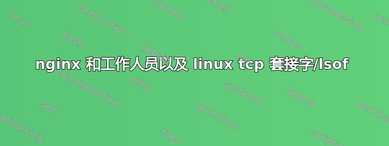 nginx 和工作人员以及 linux tcp 套接字/lsof