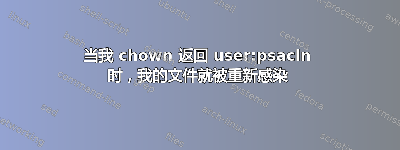 当我 chown 返回 user:psacln 时，我的文件就被重新感染