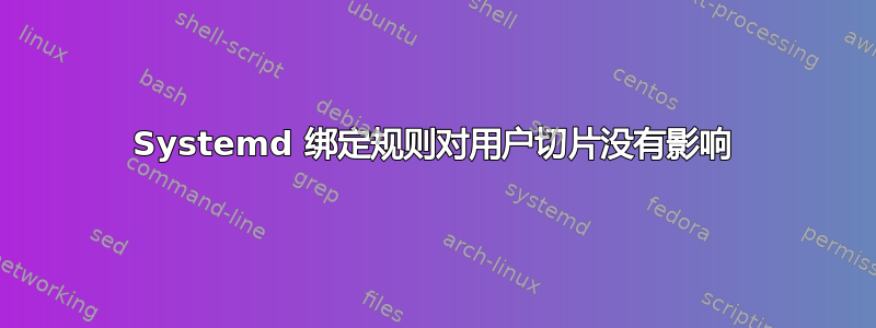 Systemd 绑定规则对用户切片没有影响