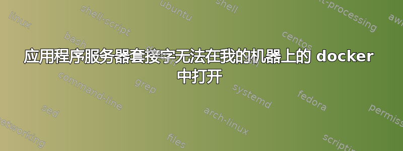 应用程序服务器套接字无法在我的机器上的 docker 中打开