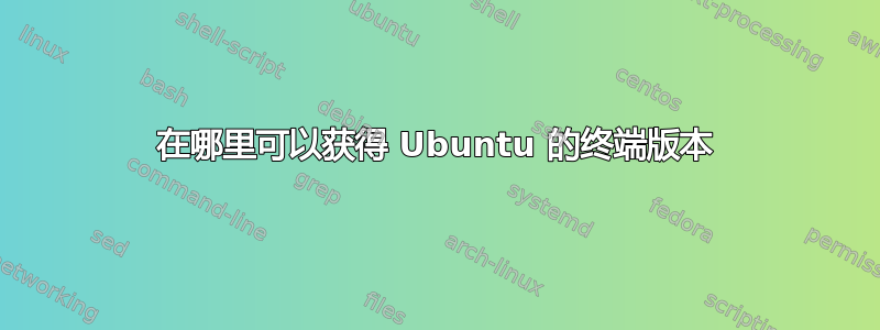 在哪里可以获得 Ubuntu 的终端版本