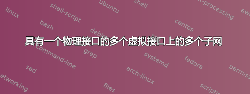 具有一个物理接口的多个虚拟接口上的多个子网