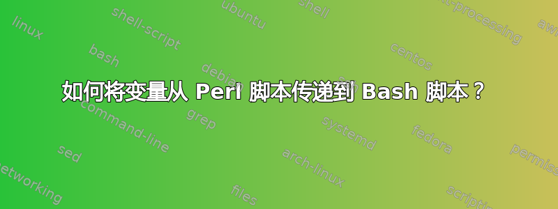 如何将变量从 Perl 脚本传递到 Bash 脚本？