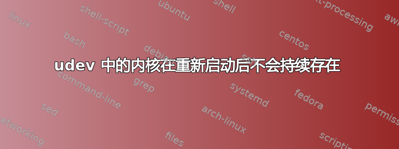 udev 中的内核在重新启动后不会持续存在