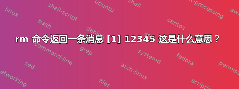 rm 命令返回一条消息 [1] 12345 这是什么意思？