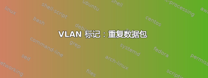 VLAN 标记：重复数据包