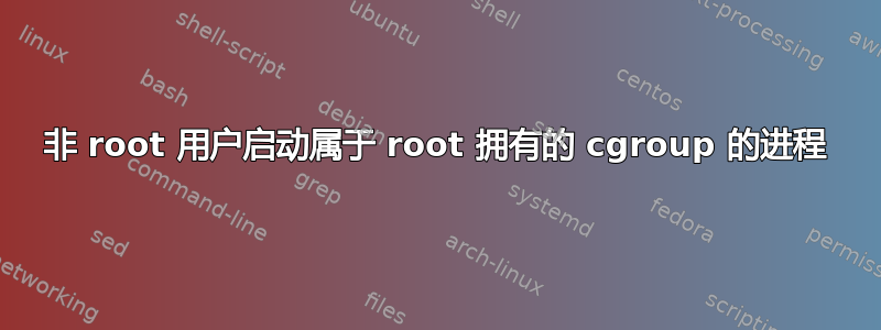 非 root 用户启动属于 root 拥有的 cgroup 的进程