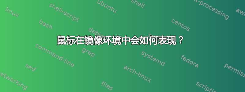 鼠标在镜像环境中会如何表现？