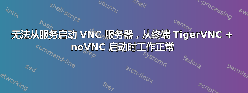 无法从服务启动 VNC 服务器，从终端 TigerVNC + noVNC 启动时工作正常