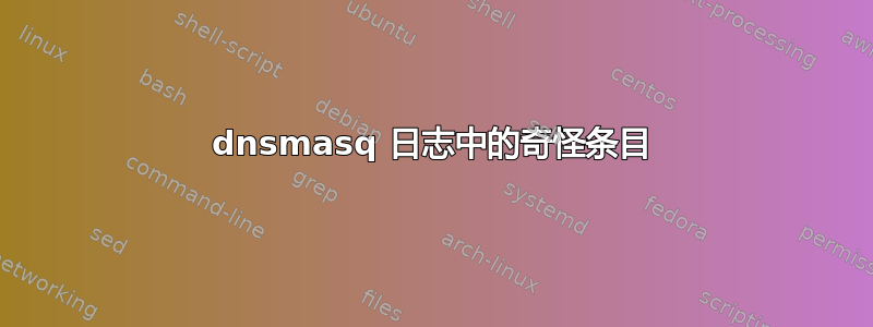 dnsmasq 日志中的奇怪条目