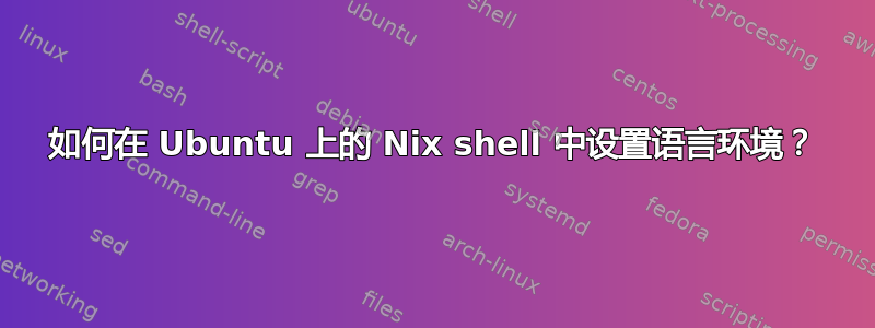 如何在 Ubuntu 上的 Nix shell 中设置语言环境？