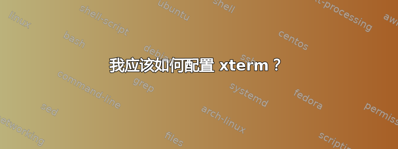 我应该如何配置 xterm？