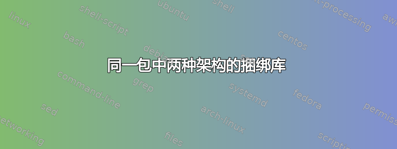 同一包中两种架构的捆绑库