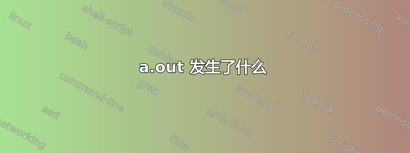 a.out 发生了什么