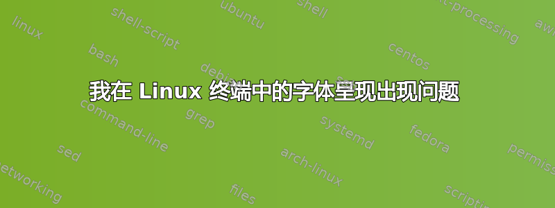 我在 Linux 终端中的字体呈现出现问题