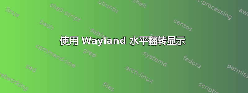 使用 Wayland 水平翻转显示