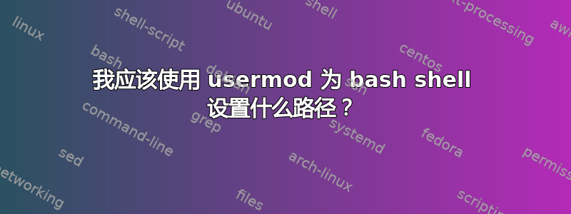 我应该使用 usermod 为 bash shell 设置什么路径？