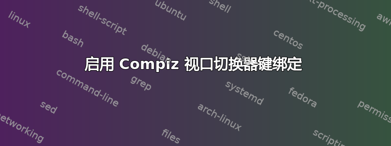 启用 Compiz 视口切换器键绑定