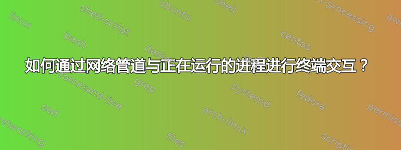 如何通过网络管道与正在运行的进程进行终端交互？