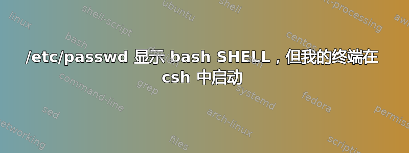 /etc/passwd 显示 bash SHELL，但我的终端在 csh 中启动