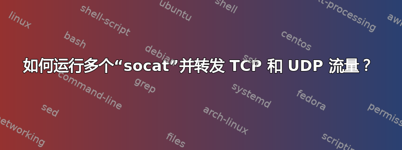 如何运行多个“socat”并转发 TCP 和 UDP 流量？