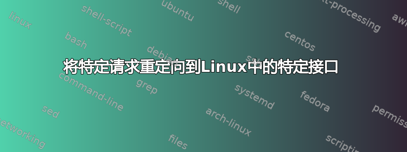 将特定请求重定向到Linux中的特定接口