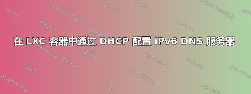 在 LXC 容器中通过 DHCP 配置 IPv6 DNS 服务器