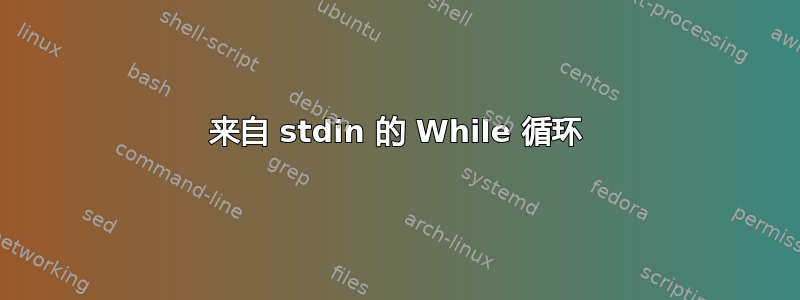 来自 stdin 的 While 循环