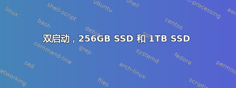 双启动，256GB SSD 和 1TB SSD