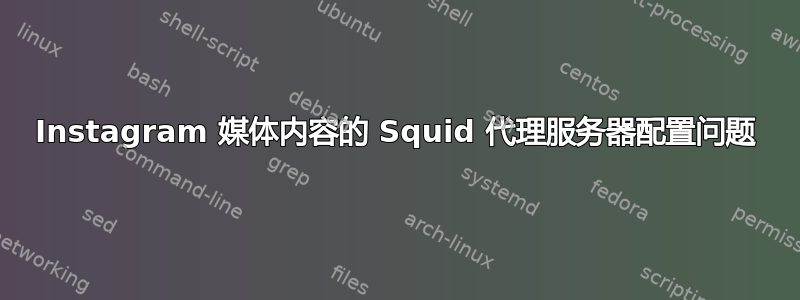 Instagram 媒体内容的 Squid 代理服务器配置问题