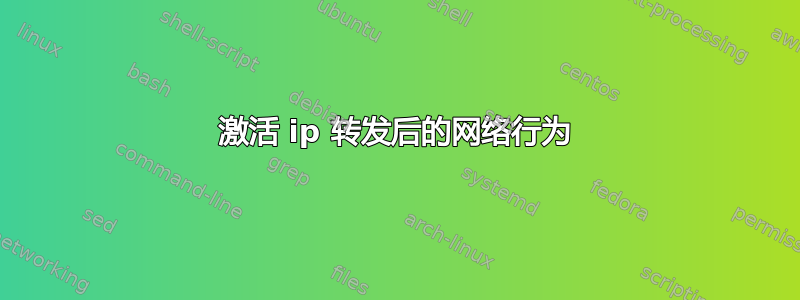 激活 ip 转发后的网络行为