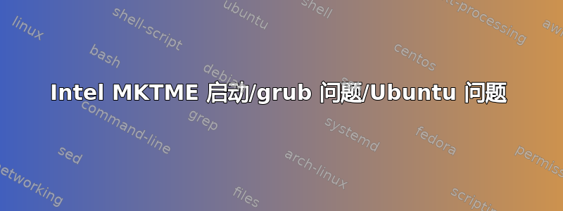 Intel MKTME 启动/grub 问题/Ubuntu 问题