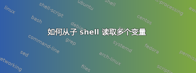 如何从子 shell 读取多个变量