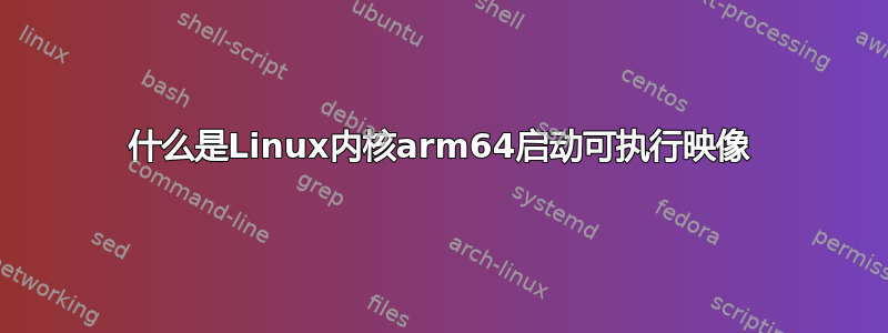 什么是Linux内核arm64启动可执行映像