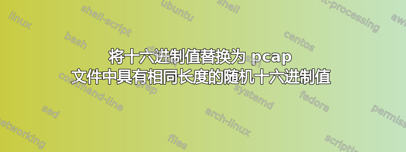 将十六进制值替换为 pcap 文件中具有相同长度的随机十六进制值