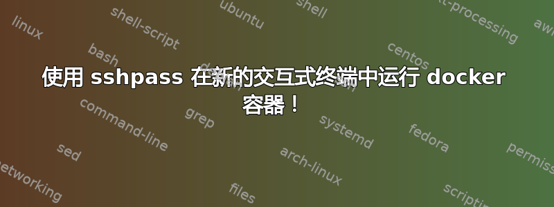使用 sshpass 在新的交互式终端中运行 docker 容器！