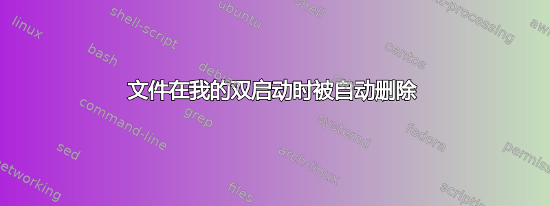 文件在我的双启动时被自动删除