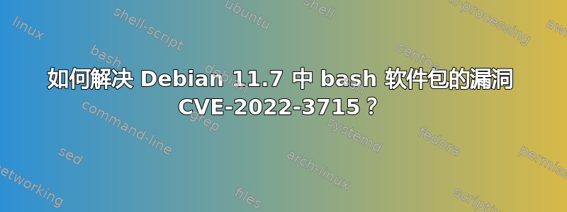 如何解决 Debian 11.7 中 bash 软件包的漏洞 CVE-2022-3715？