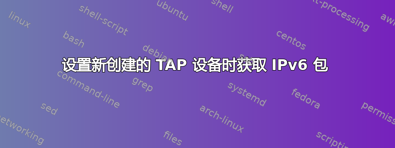 设置新创建的 TAP 设备时获取 IPv6 包