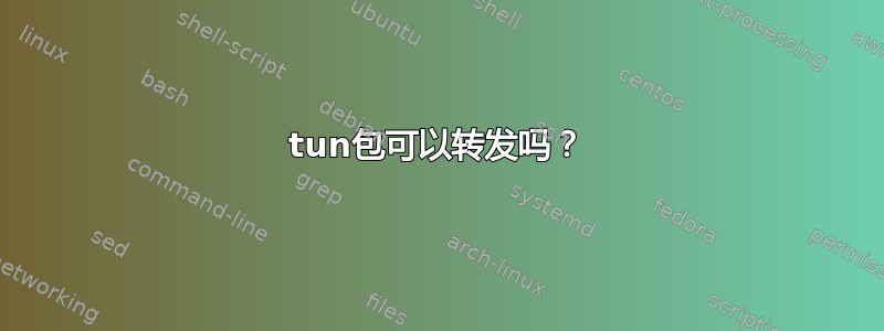 tun包可以转发吗？