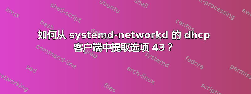 如何从 systemd-networkd 的 dhcp 客户端中提取选项 43？