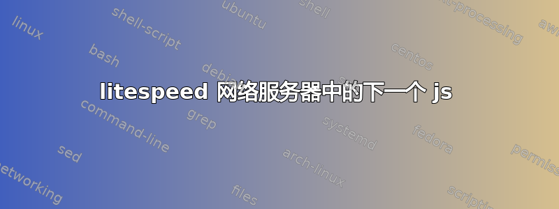 litespeed 网络服务器中的下一个 js