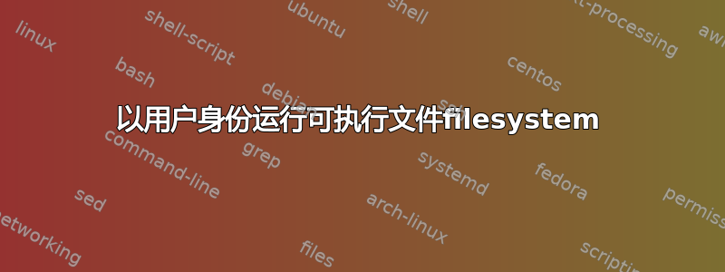 以用户身份运行可执行文件filesystem