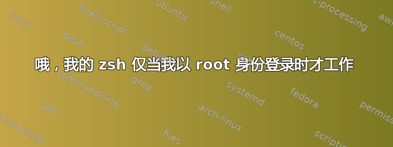 哦，我的 zsh 仅当我以 root 身份登录时才工作