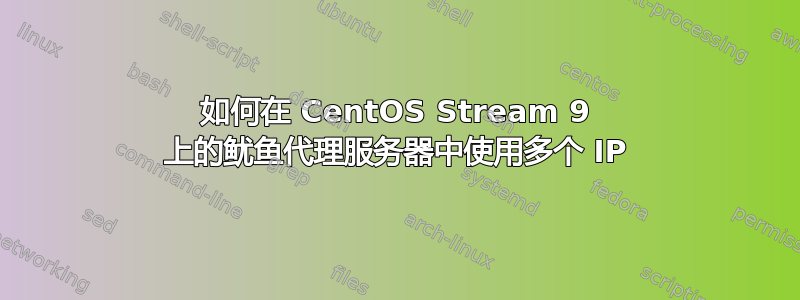 如何在 CentOS Stream 9 上的鱿鱼代理服务器中使用多个 IP