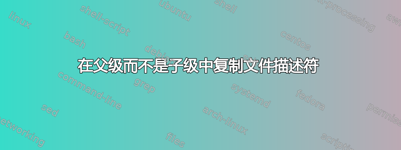 在父级而不是子级中复制文件描述符